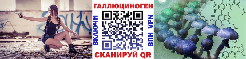 Галлюциногенные грибы Cubensis купить наркотики сайты hydra Ессентукская